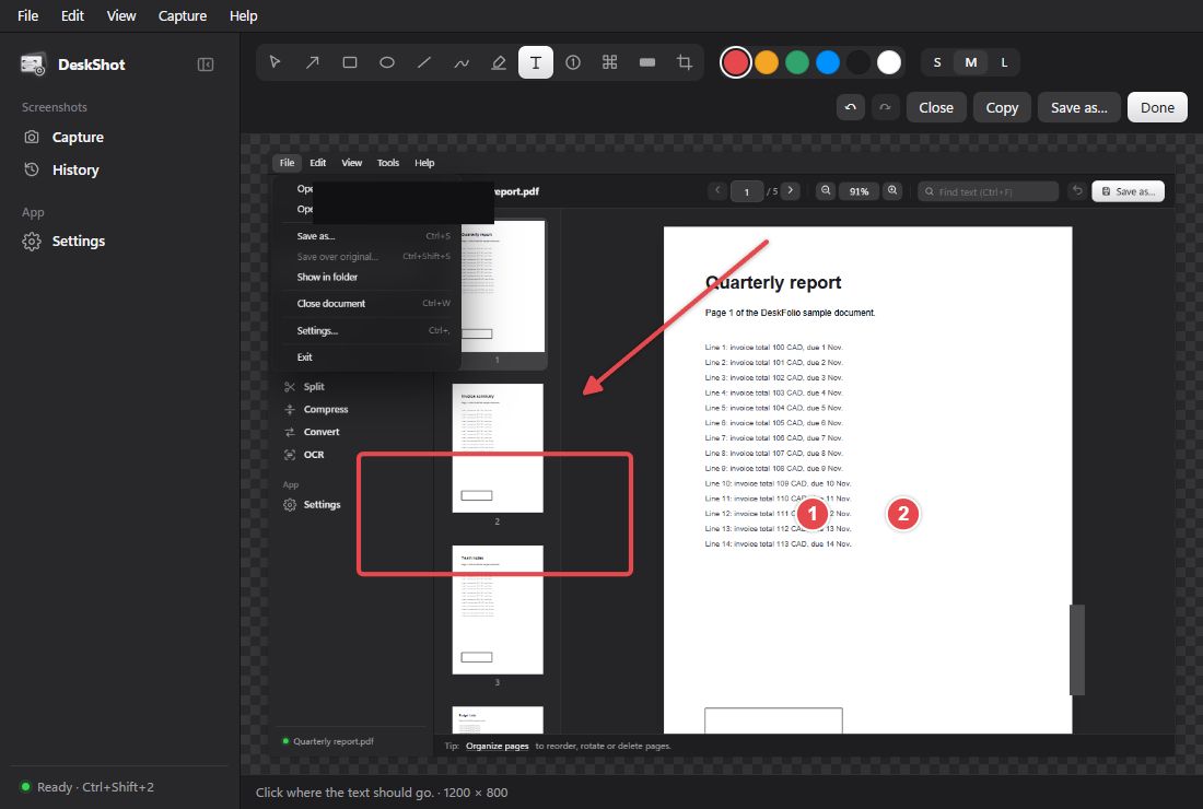 DeskShot's editor with an arrow, a red box, numbered steps and a blacked-out area.